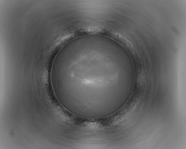 X0000111480689200907141218