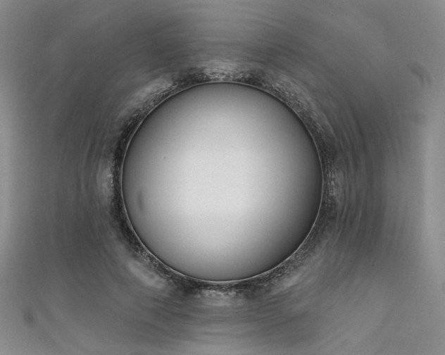 X0000111480690200907141218