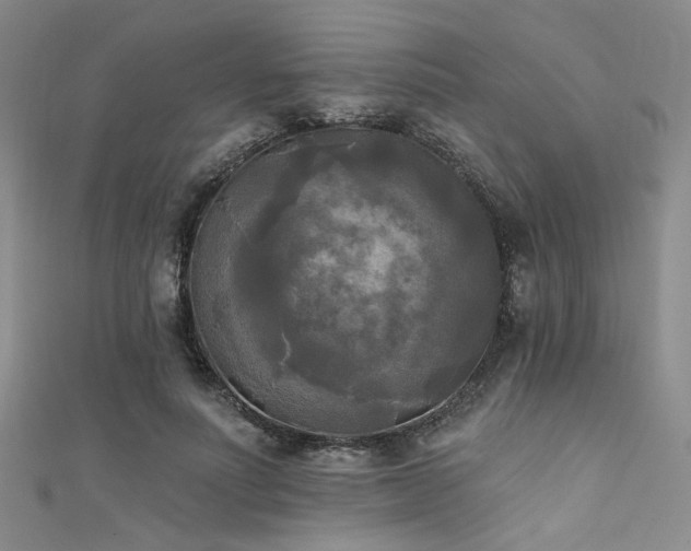 X0000111480691200907141218