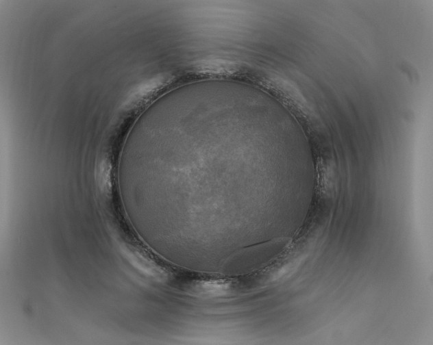 X0000111480692200907141218