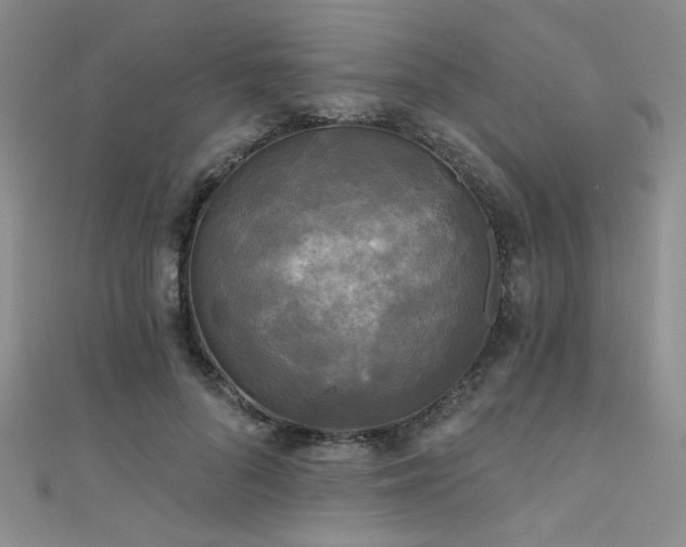 X0000111480696200907141218