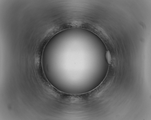 X0000111480697200907141218