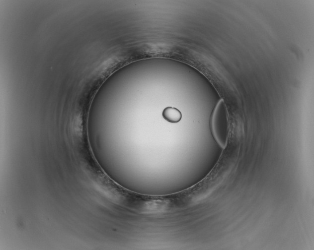 X0000111480700200907141218