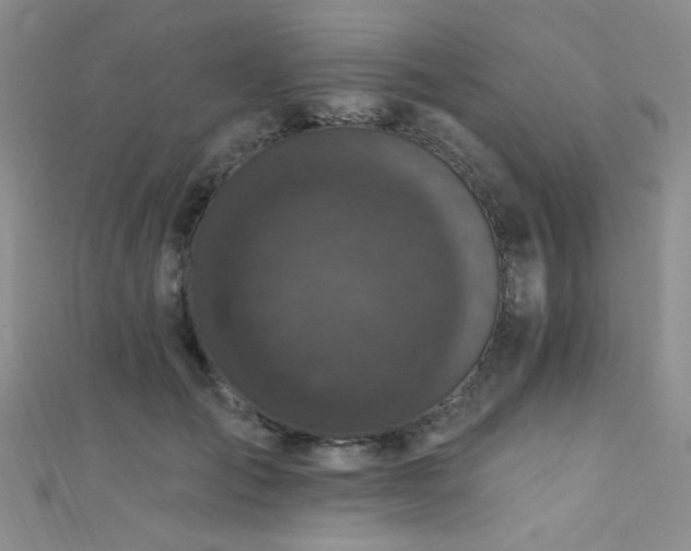 X0000111480701200907141218