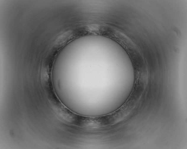 X0000111480702200907141218