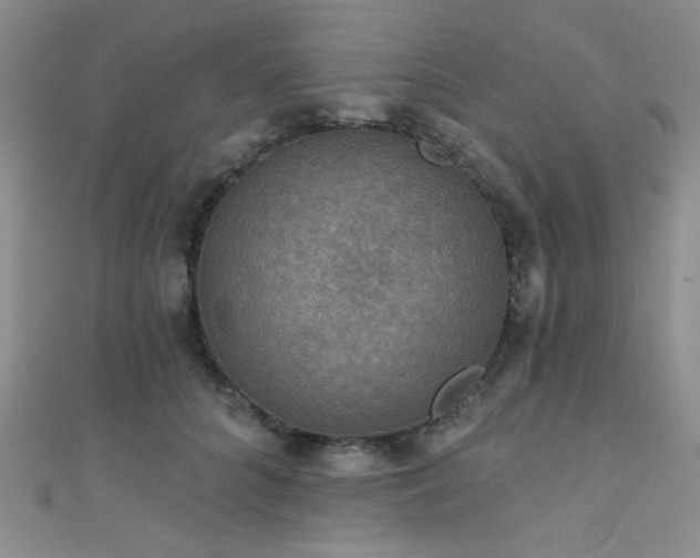 X0000111480704200907141218