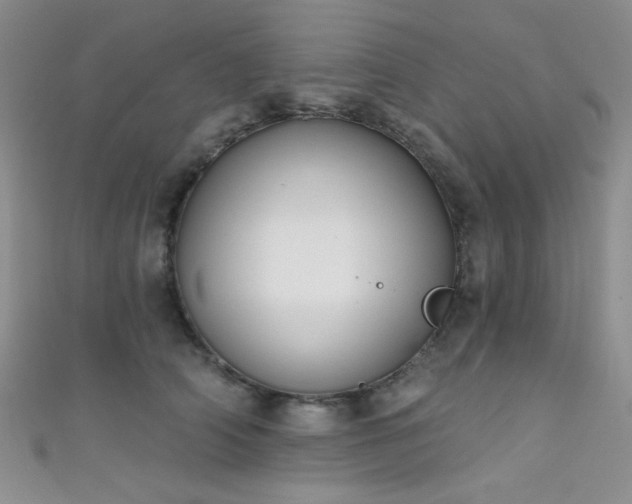 X0000111480706200907141218