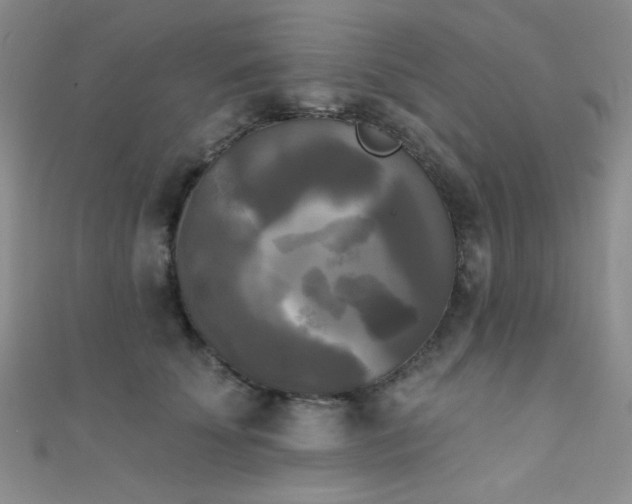 X0000111480707200907141218