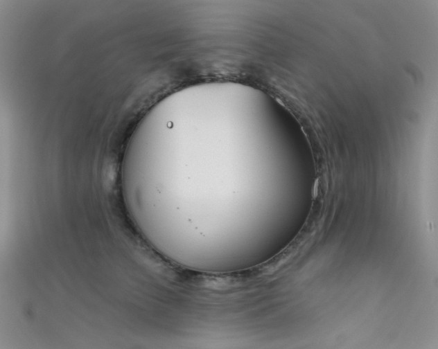 X0000111480709200907141218