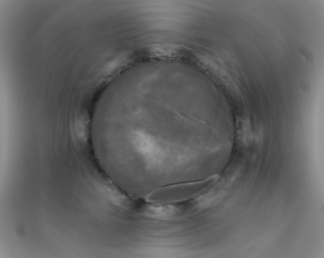 X0000111480712200907141218