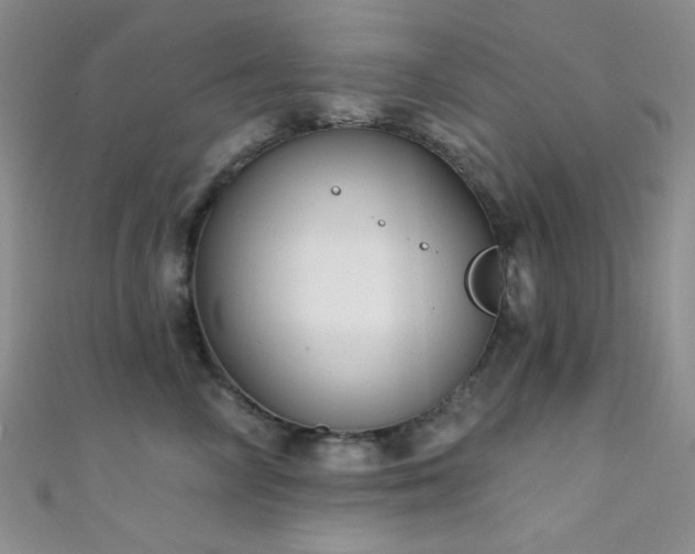 X0000111480714200907141218