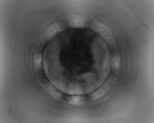X0000111480717200907141217