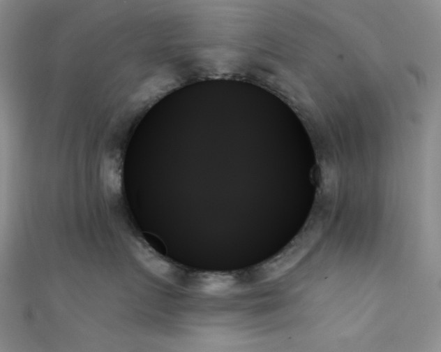 X0000111480719200907141217