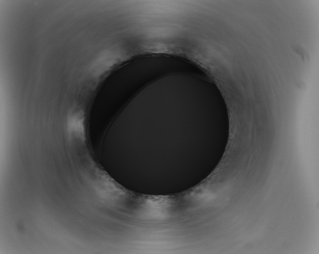 X0000111480720200907141217