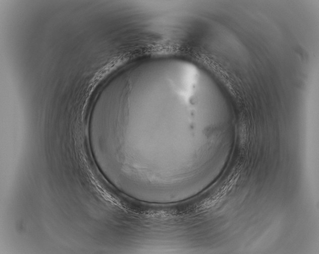 X0000111480721200907141217