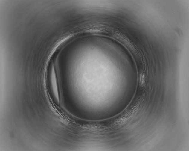 X0000111480724200907141217