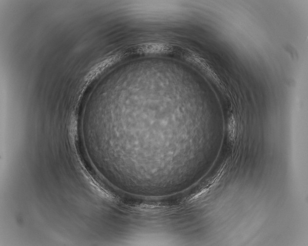 X0000111480725200907141217