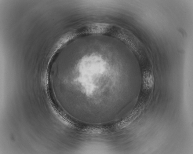 X0000111480726200907141217