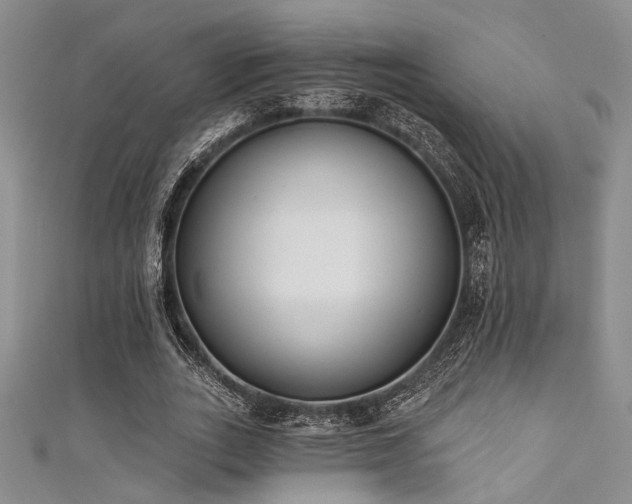 X0000111480727200907141217