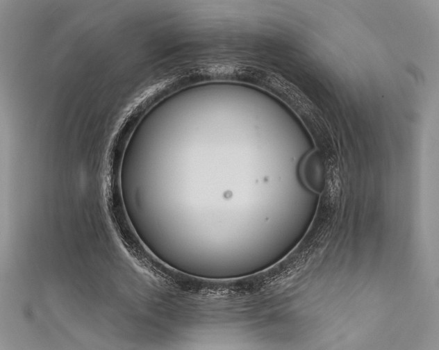 X0000111480728200907141217