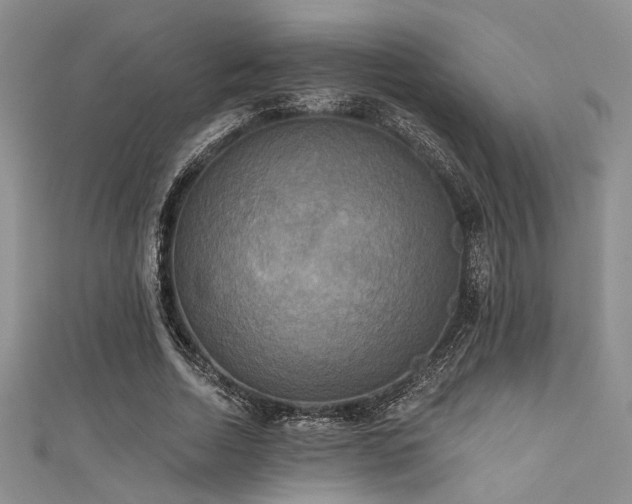 X0000111480730200907141217
