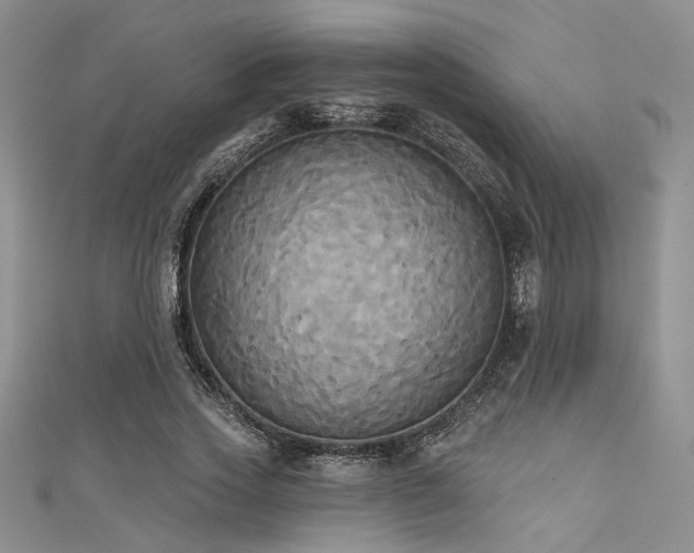 X0000111480733200907141217