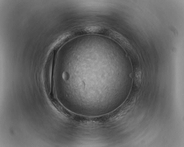 X0000111480734200907141217