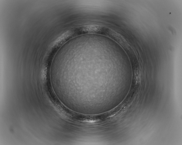 X0000111480735200907141217