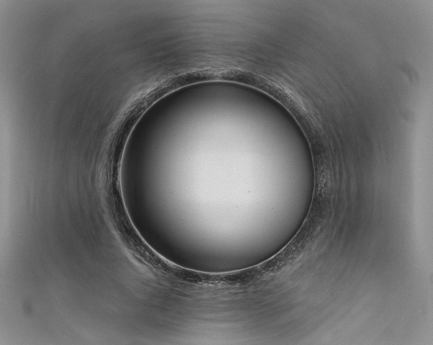 X0000111480736200907141217