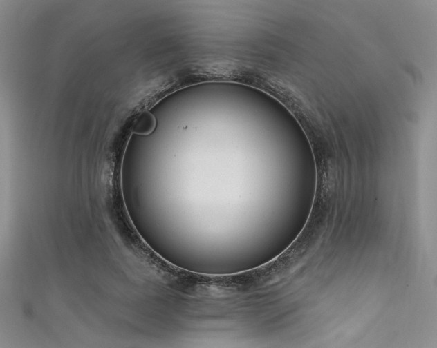 X0000111480739200907141217