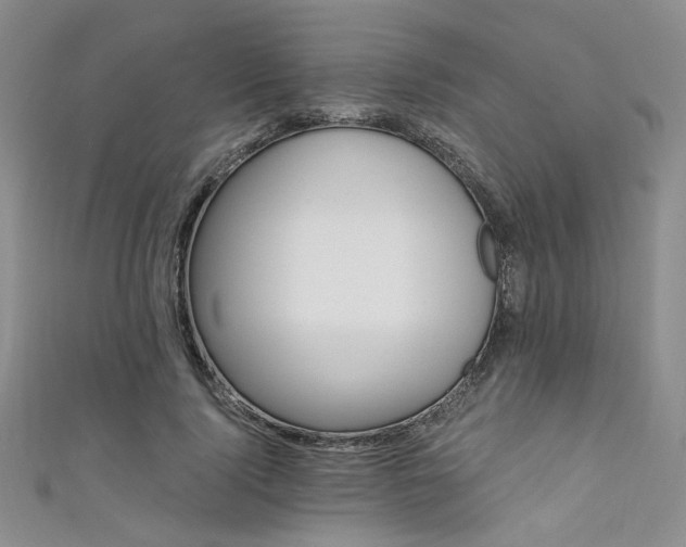 X0000111480740200907141217