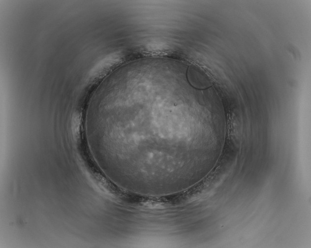 X0000111480742200907141217