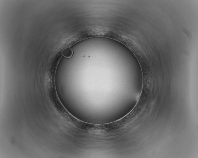 X0000111480743200907141217