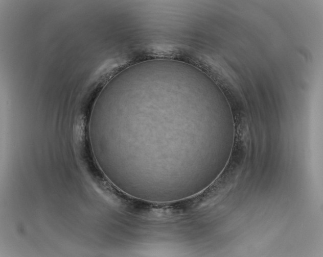 X0000111480744200907141217