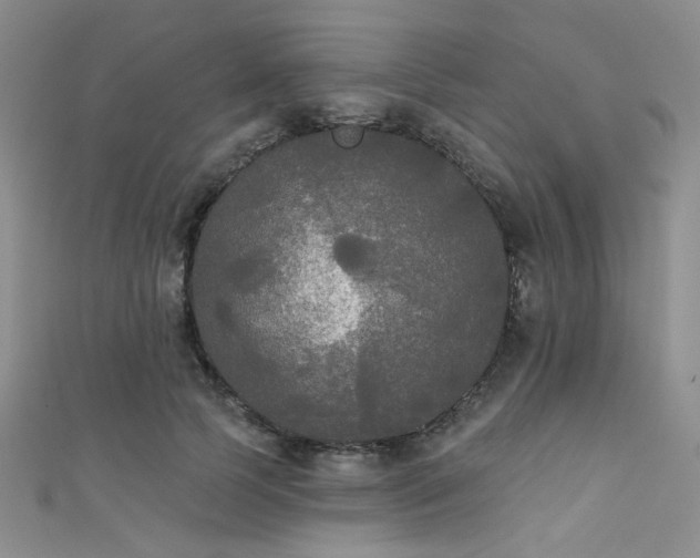 X0000111480745200907141217