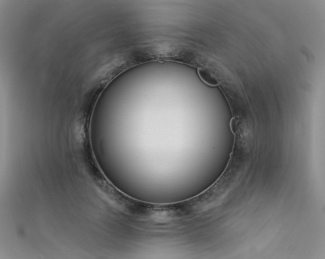 X0000111480746200907141217