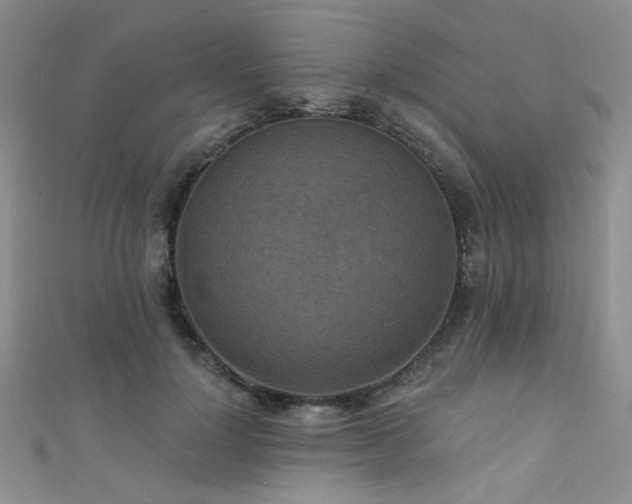 X0000111480748200907141217
