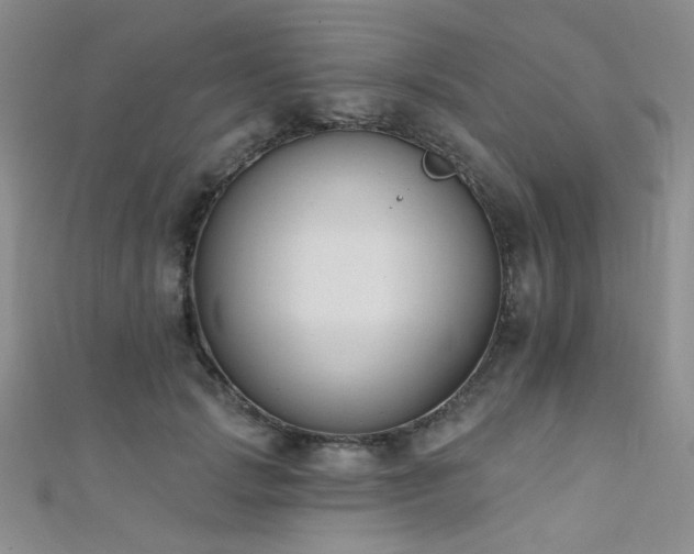 X0000111480749200907141217