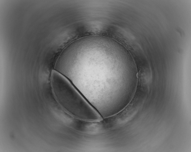 X0000111480750200907141217