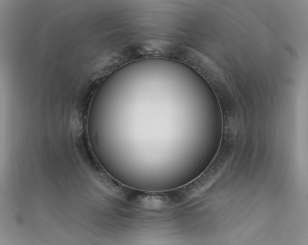 X0000111480751200907141217
