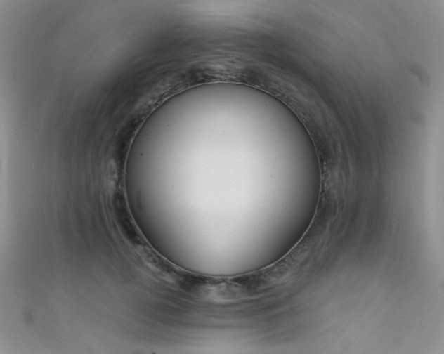 X0000111480752200907141217