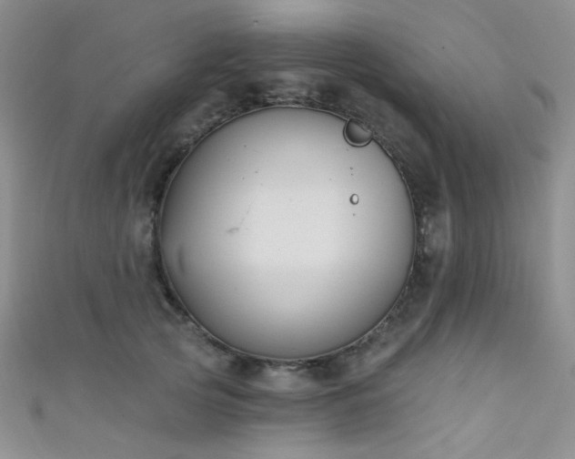X0000111480753200907141217