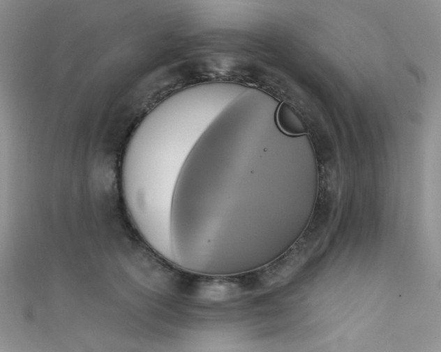 X0000111480754200907141217