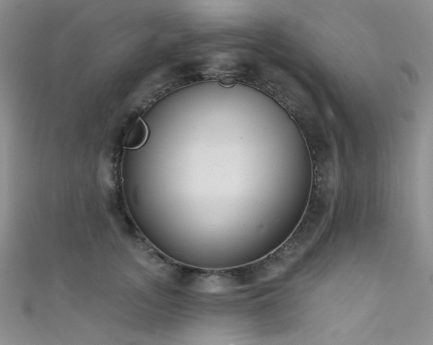 X0000111480755200907141217