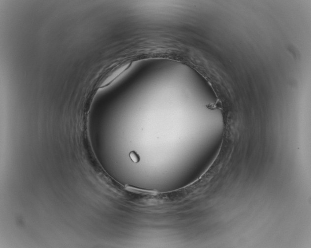 X0000111480756200907141217