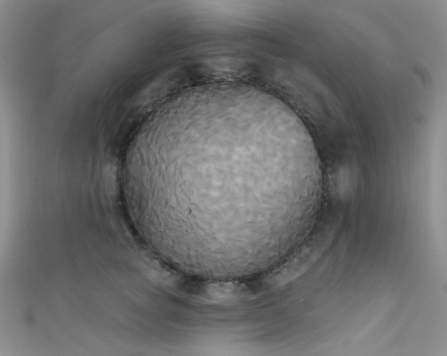 X0000111480757200907141217