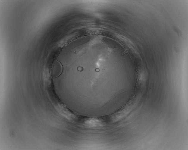 X0000111480759200907141217