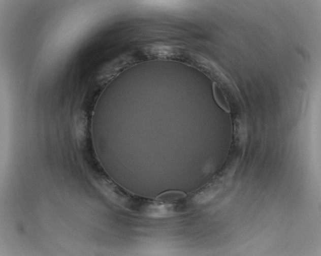 X0000111480760200907141217