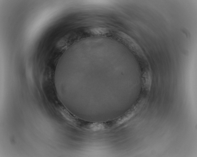 X0000111480762200907141217