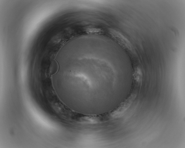 X0000111480763200907141217